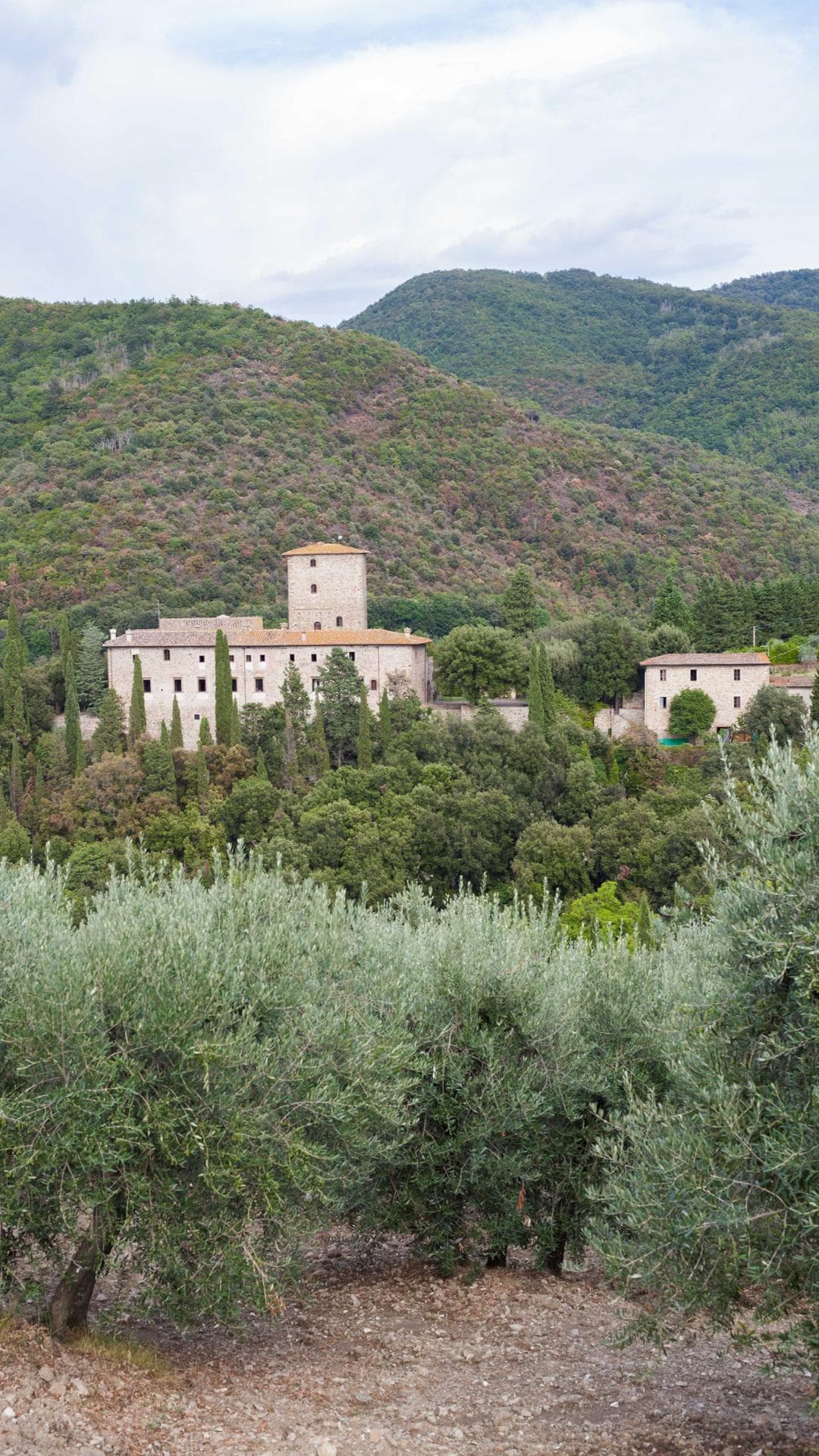 Immagine per Castello di Mugnana a Chianti