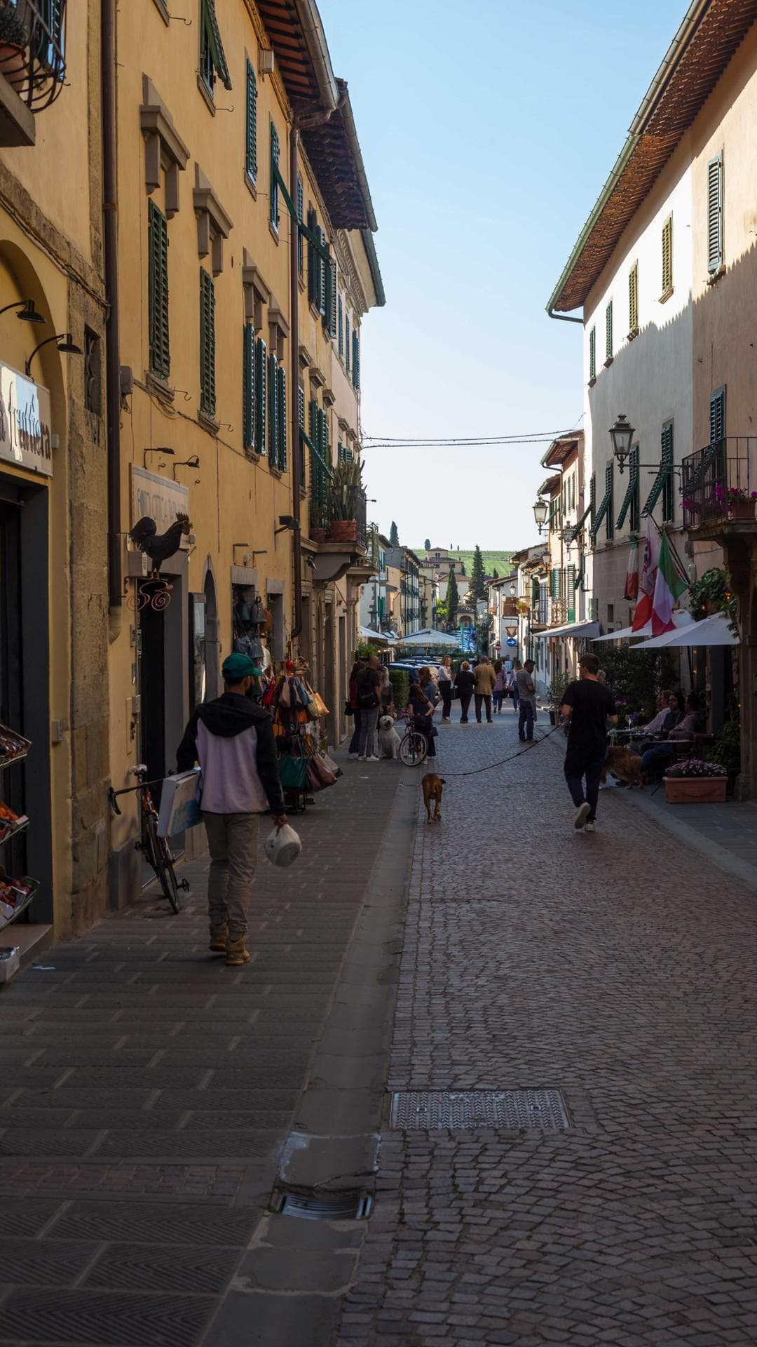 Immagine per Il Borgo a Chianti